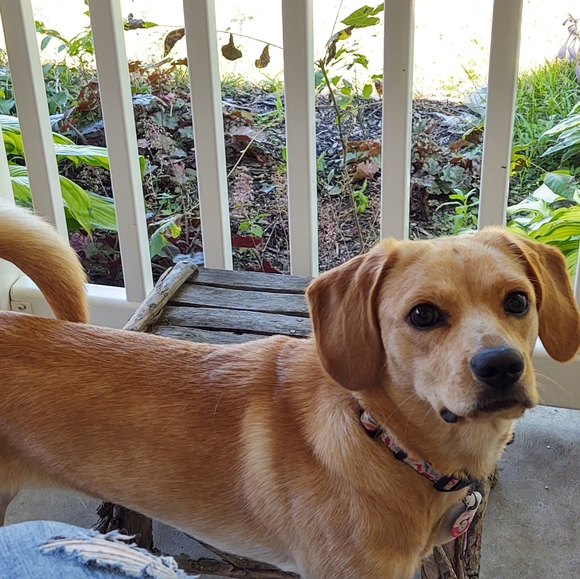 Meet your Posher, Barb - Picture 6 of 8